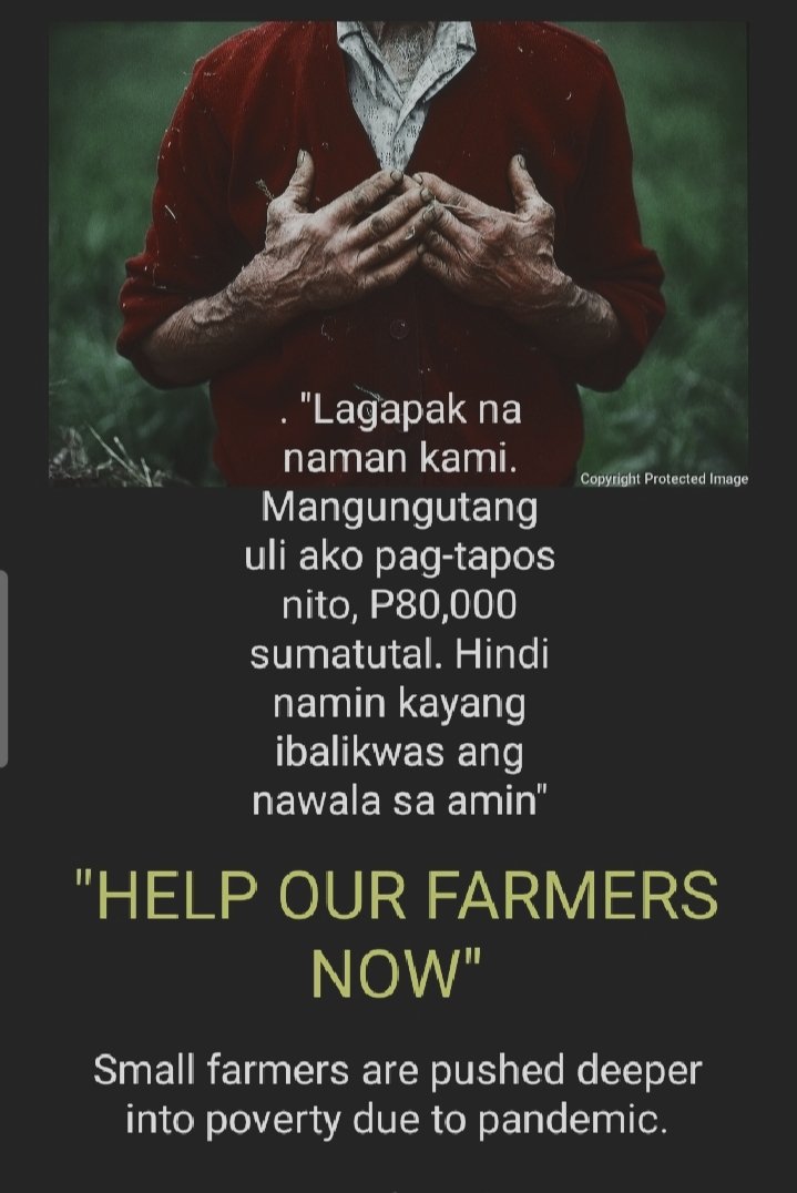 UpdatePH2020's tweet photo. ...if only the government had invested in agriculture, not all farmers would be desperate to seek for aid.

#Recognizethefarmers
#Helpthefarmers
#Feedthefarmers https://t.co/N6dFMiOlsN