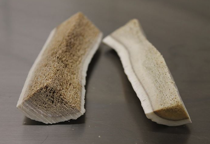 Lynchburger Pet Products tweet media