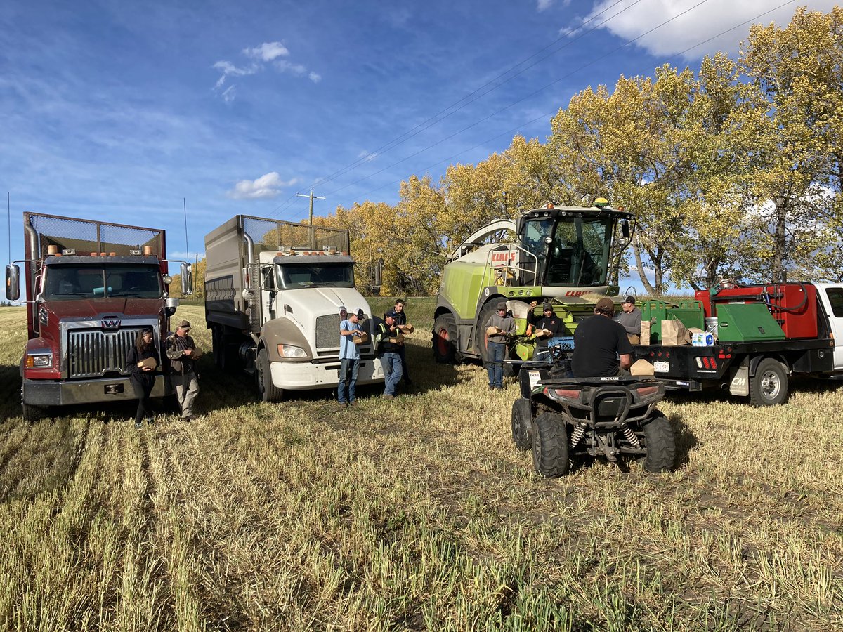 Big thanks to #oldstoberfest,#C5rodeocompany, #ritchiebros, #missrodeocanada, #AliciaErickson#GillianGrant, who delivered #mealsinthefield to the harvest crew. As #harvest2020 continues the warm meal is greatly appreciated!! Great September weather and views at #riverstonecattle
