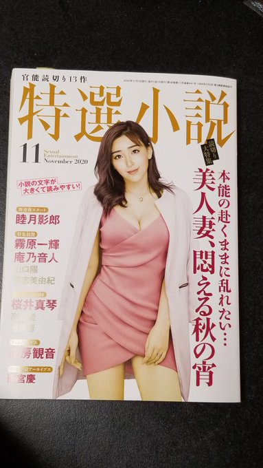 あまりフォロワーさんには馴染みがないと思うのですが(偉そうに言っていますが僕もないのですが)日本唯一の官能小説専門誌『特選小説』現在発売中の11月号にてインタビューしていただきました。
2ページにわたって濃いめに答えていますので、もしよかったら読んでみてください〜 