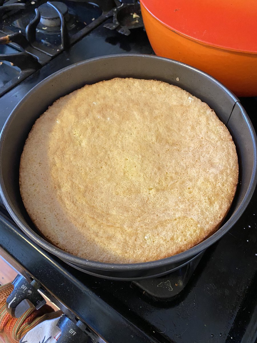 It isn’t as flat as the last one, not a terrific rise, but it will do. Think I will use both sponges for three layers.