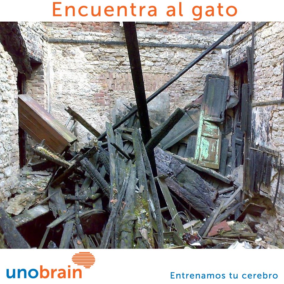 Unobrain tweet media