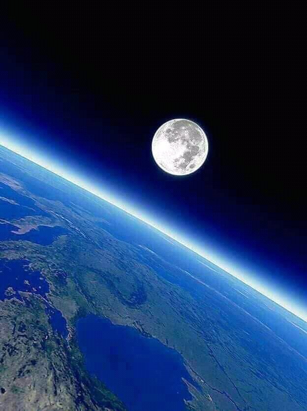 OrgPhysics's tweet photo. Wow https://t.co/ZEtfEM6WKz