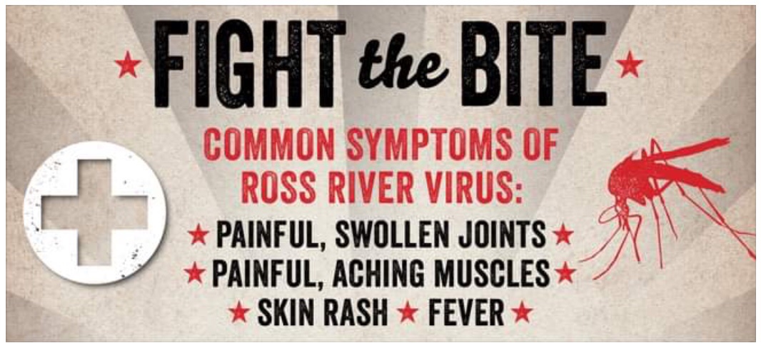 There is a significant amount of RRV activity in the SW region of WA! Don’t get bitten by mossies if you are heading down that way for the school holidays. #FighttheBite ww2.health.wa.gov.au/Media-releases…