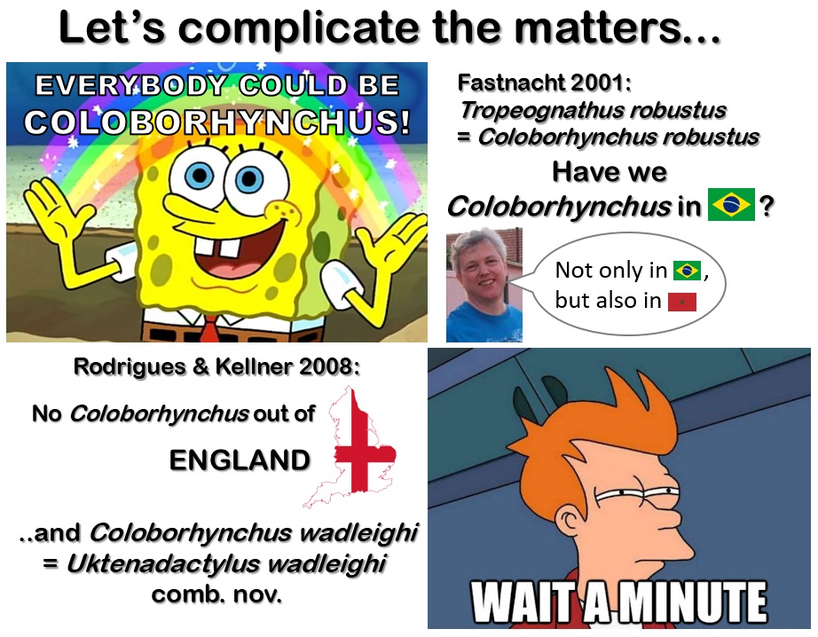 At the 2000s, there was a debate about Coloborhynchus: several previously known spp. were relocated on this genus by some researchers. In a review on Coloborhynchus,  @paleotaissa &  @KellnerMn established there was no Coloborhynchus out of , and give a new genus for the  sp.