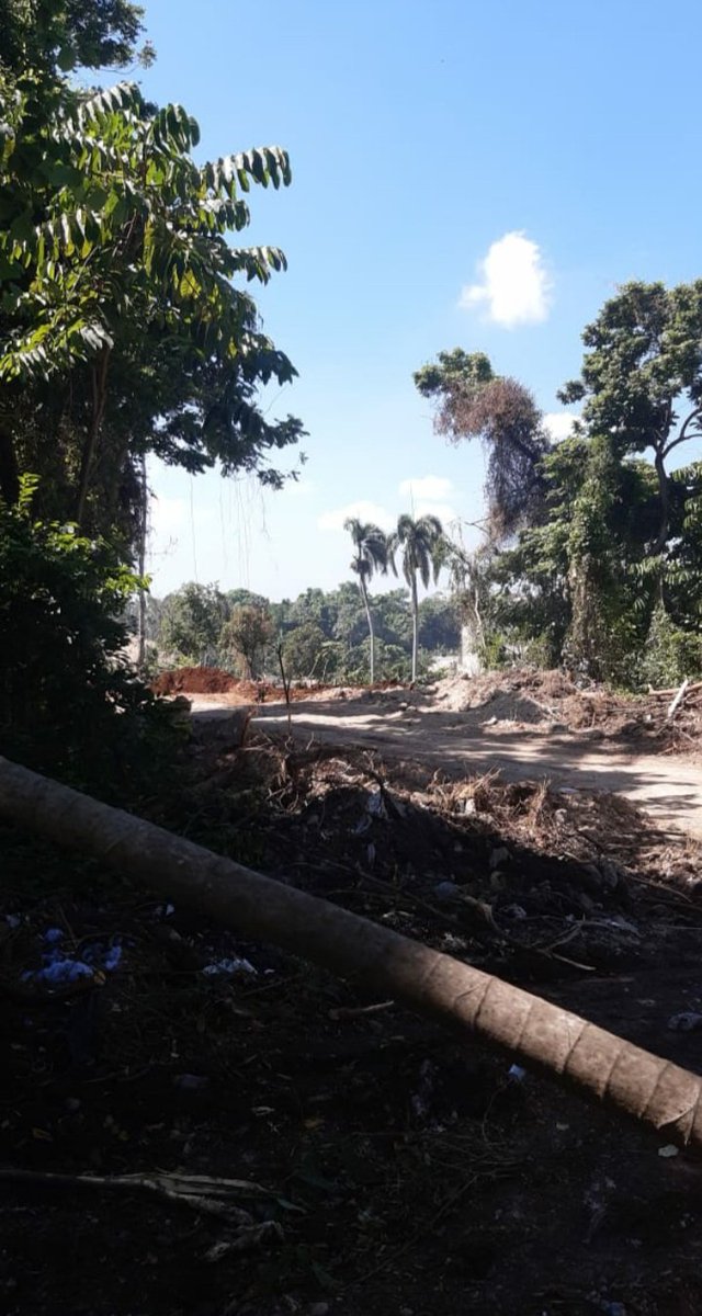 riotireo's tweet photo. Imagenes delicadas😱😢
Siguen las invasiones de terrenos privados y la destrucción de áreas verdes en el Kilómetro 14 de la Autopista Duarte. https://t.co/uWJhJcWBfZ