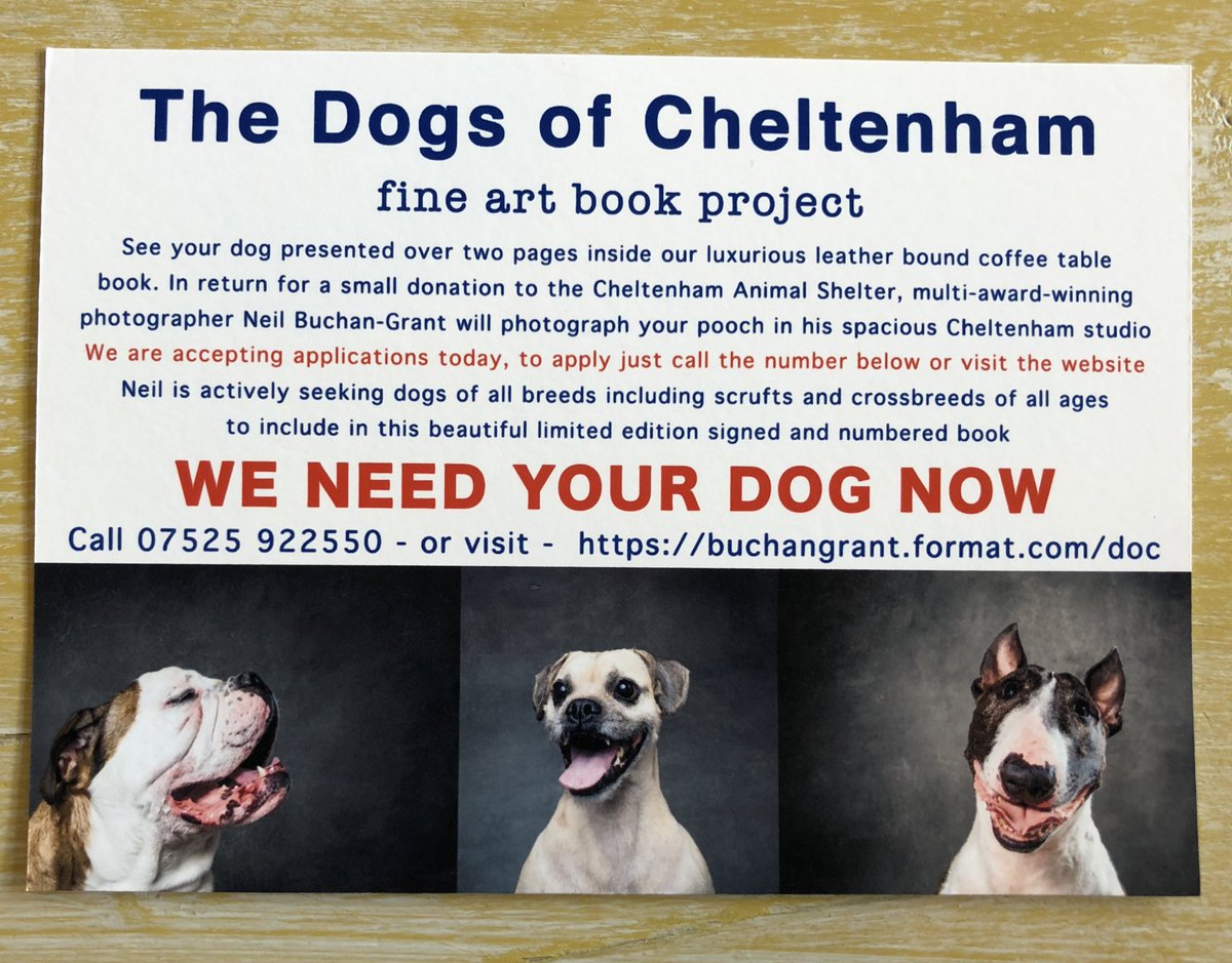bemorebob2's tweet photo. Pals! Remember that lovely book that I’m going to be in, along with other Cheltenham doggos? We’ve just met Neil the photographer who is organising this great initiative. Funds will be raised for the fantastic CheltenhamAnimal Shelter! #Cheltenhamdogs 
@cheltenhampets https://t.co/fb1cguFLQN