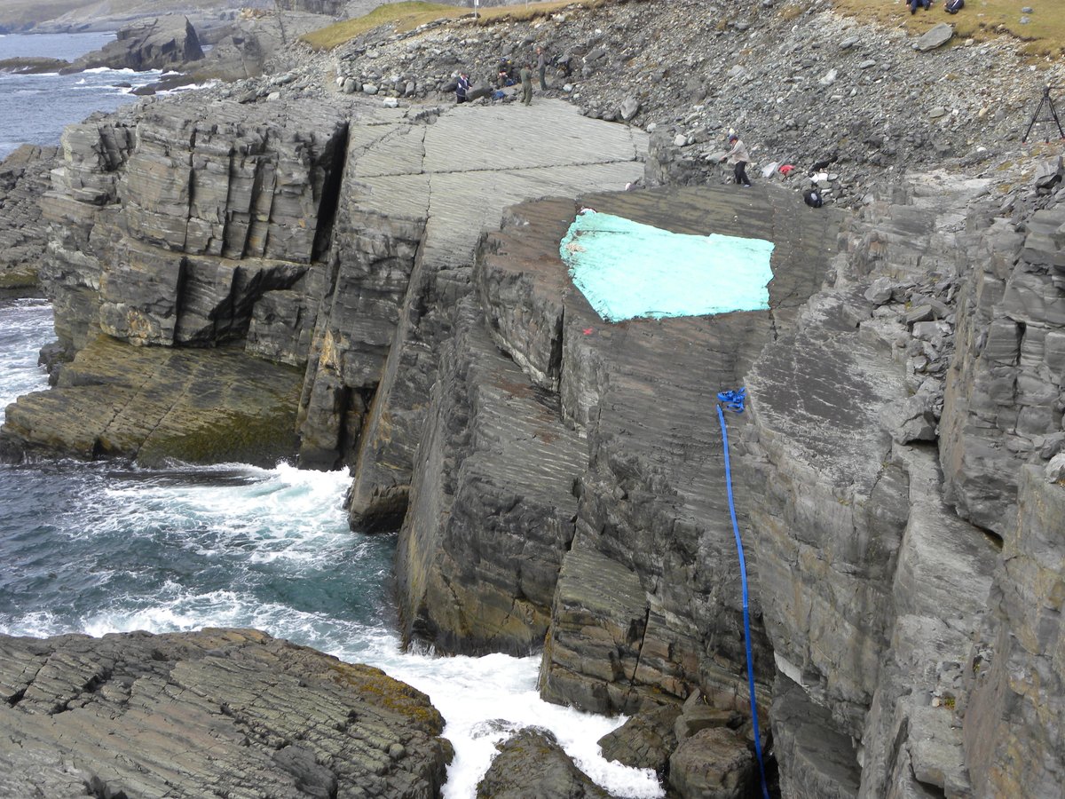 ResearchCasting's tweet image. Happy #scilitweek! This year focuses on #biodiversity. What better way to represent science, art and biodiversity then this #mistakenpoin cast! This world heritage site contains more then 10,000 unique fossil impressions. How many specimens can you find?