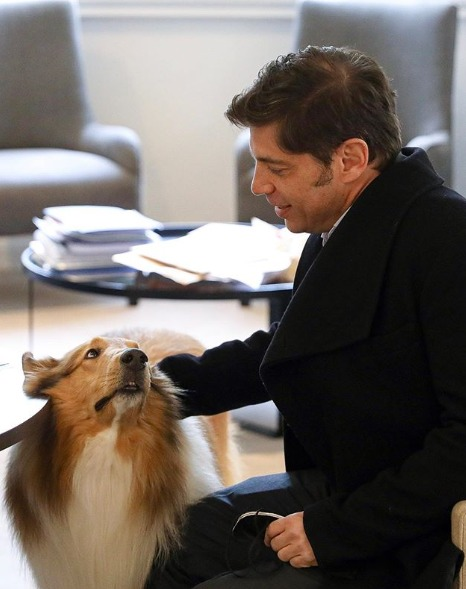 DylanFerdez's tweet photo. Qué los cumplas muy felices, que los cumplas muy feliz! 🐶✌️

#AxelCumple https://t.co/YmDFD96Cr9