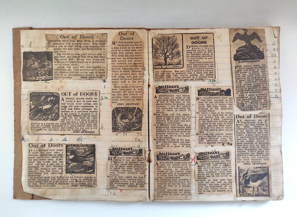 tweetbytheriver's tweet image. In a piece sparked by the rediscovery of his childhood birding scrapbook, repurposed from an old maths book from the school year of 1948, @claireltodd pays tribute to her late father bit.ly/2RXn0kP