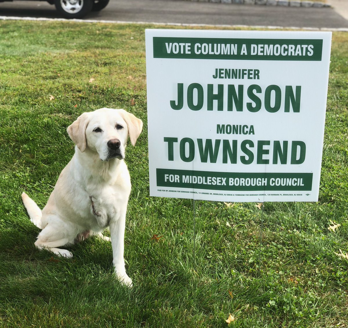 JJohnson4MB's tweet photo. Hi, my name is Chloe and I think you should vote for my human, JennJenn, for Middlesex Borough Council! Also, don't mind my scar... My hair is still trying to grow around it. Please be patient with me and my 3 legs. https://t.co/7HiB8iqv71