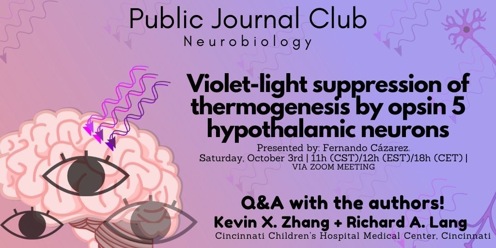 PJCNeurobiology's tweet image. Did you know that deep in your brain violet light sensitive neurons modify your metabolism? Do you want to know more? Join our kick off @PJCNeurobiology session where the authors @richardalang1 and Kevin Zhang from @CincyChildrens will join for Q&amp;amp;A. Presented by @CazarezF