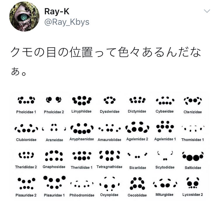 猿ちゃん Djuilh5oapzpau6 Twitter 猿ちゃん Djuilh5oapzpau6 Twitter