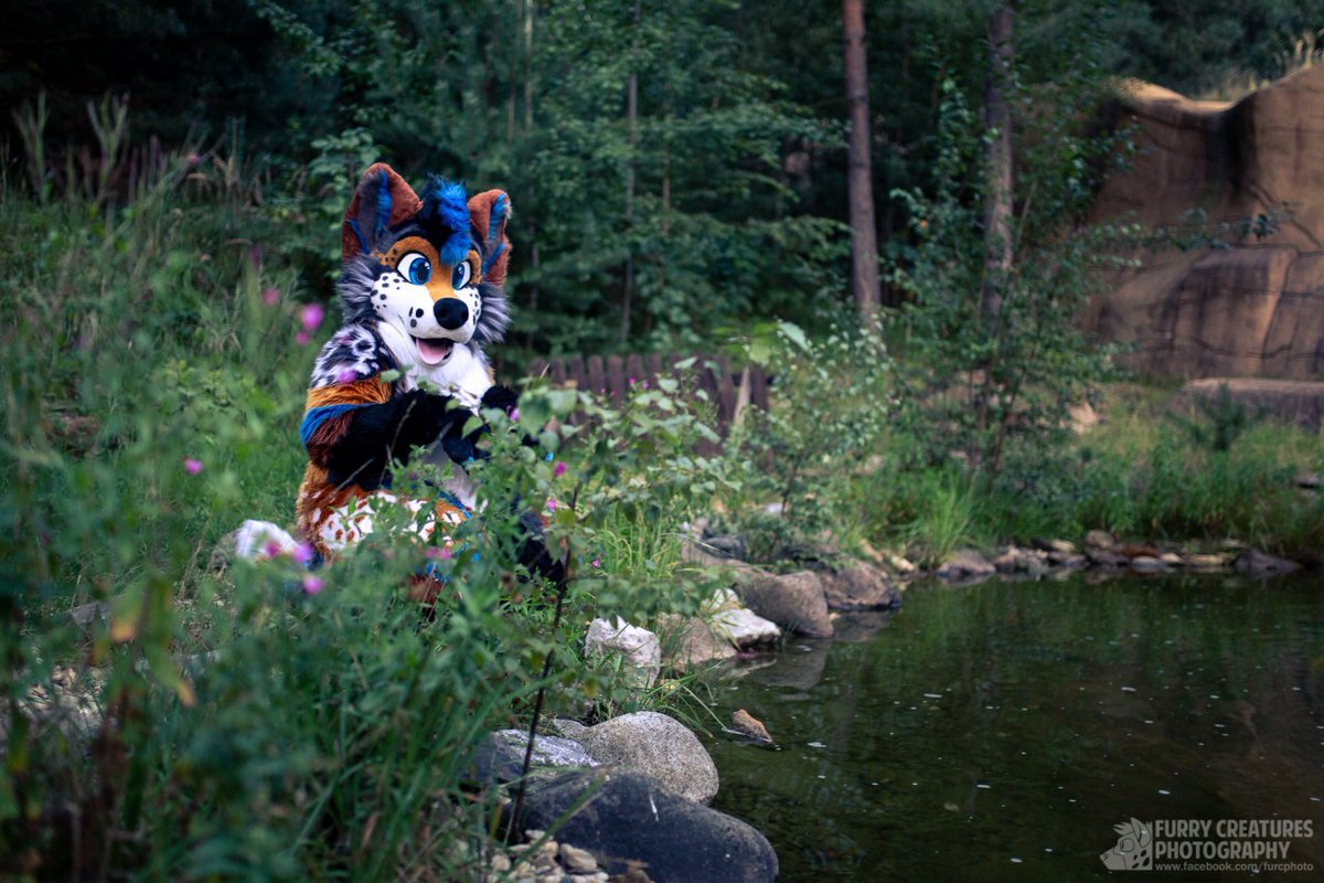 ๐พ Razee ๐พโ๏ธNFC 2025 (@razeedoggo) on Twitter photo I feel so good in nature, all that smells around and that quite here. In water you can see fishes and...
SQUIRREL! Happy #FursuitFriday to all of you.
โ๏ธ <a href="/Fionka_Fursuits/">๐ Fionka Fursuits ๐</a>
๐ธ <a href="/FurCPhoto/">Furry C. Photo</a>
#furry #fursuit #fursuiter I feel so good in nature, all that smells around and that quite here. In water you can see fishes and...
SQUIRREL! Happy #FursuitFriday to all of you.
โ๏ธ <a href="/Fionka_Fursuits/">๐ Fionka Fursuits ๐</a>
๐ธ <a href="/FurCPhoto/">Furry C. Photo</a>
#furry #fursuit #fursuiter