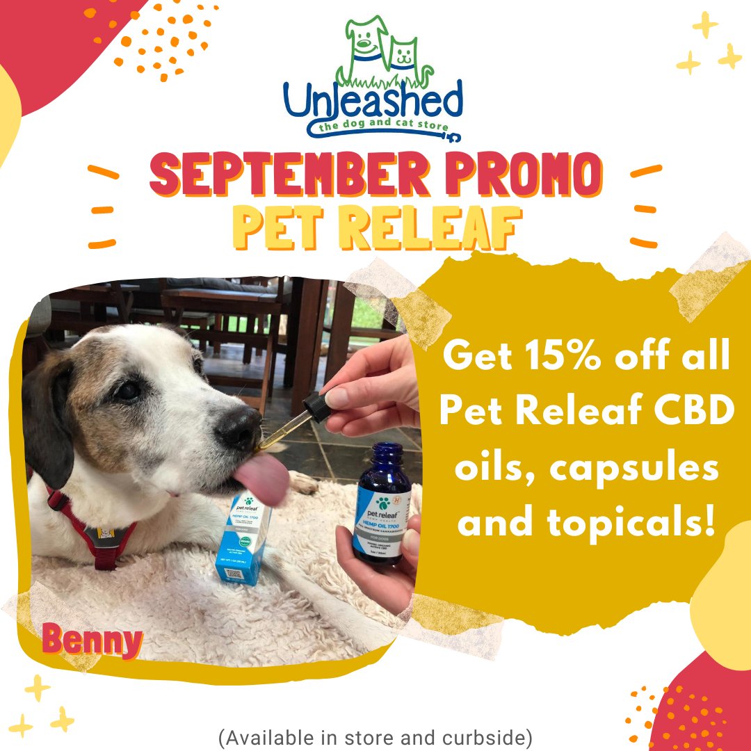 Unleashed_SH's tweet image. At @Unleashed_SH this September, you can get 15% off all @petreleaf CBD oils, capsule, and topicals! Unleashed Mascot and first child, Benny, loves the releaf it gives him! 🐶💖
#shoplocalraleigh #dogs #petsofthetriangle #cats #unleashedthedogandcatstore