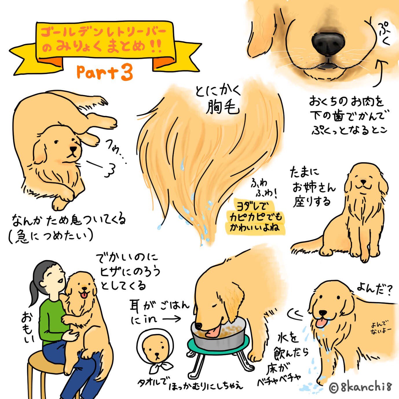 8kanchi8 かんち 12 11 土 クリマm 312 ひっそりイラスト上げ ゴールデンレトリーバーが好きすぎて パート3 ゴールデンレトリーバーの魅力 ゴールデンレトリバー ゴールデンレトリーバー イラスト ゴールデンレトリバーのイラスト 犬の