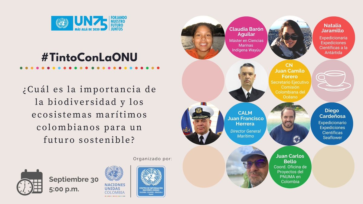 🐟El medio marino alberga una amplia variedad de criaturas asombrosas🐙, que van desde los organismos unicelulares hasta el animal +grande de la 🌎, la ballena azul🐳
 
No te pierdas este☕#TintoConlaONU
 
🗓30 de sep 5:00 p.m. Regístrate 👉attendee.gotowebinar.com/register/41896… 
 
#ONU75 #UN75