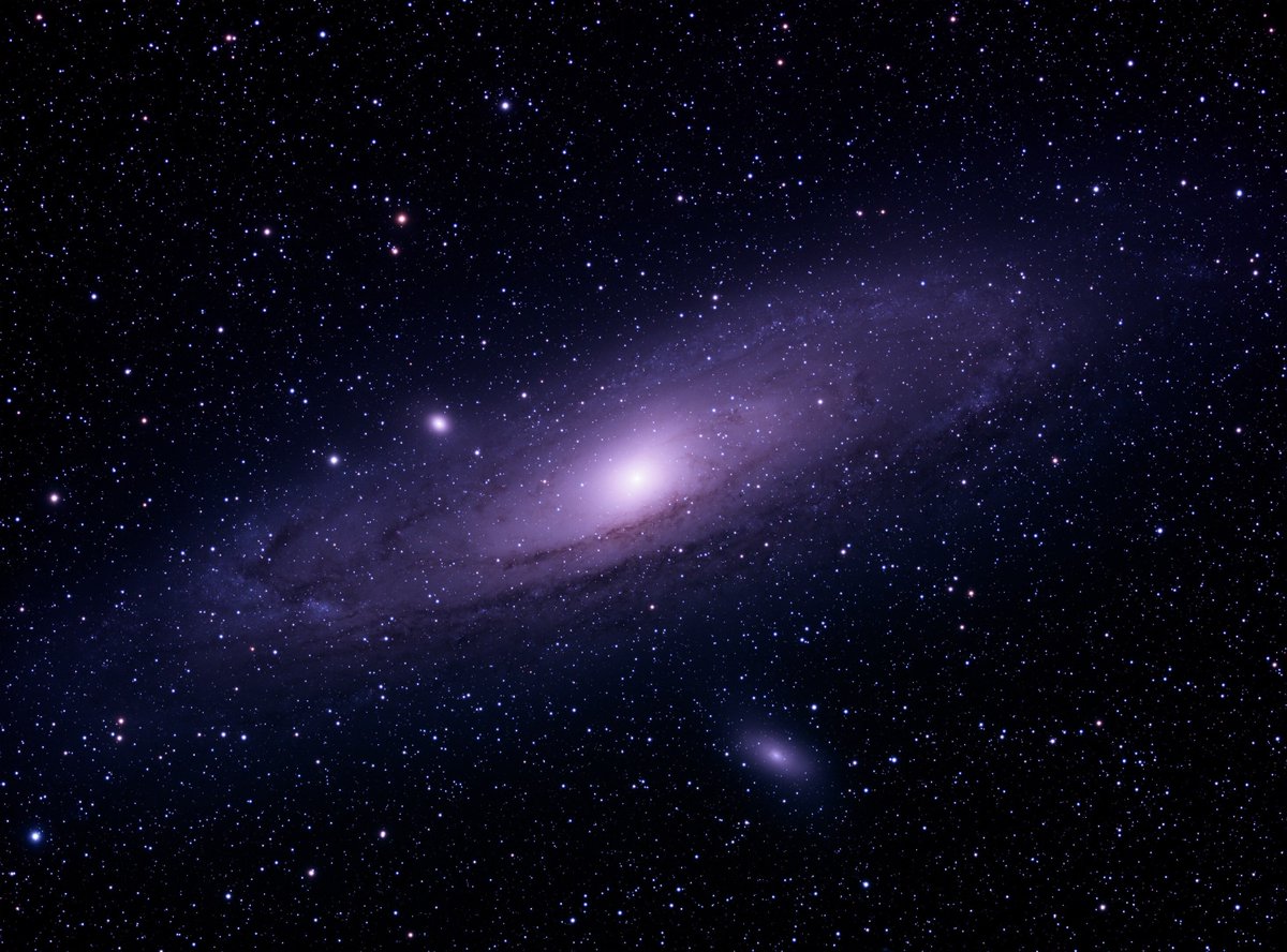 Adam Ellis tweet media