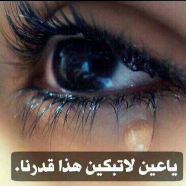abo_heam's tweet photo. https://t.co/1Wvxas4kJR
