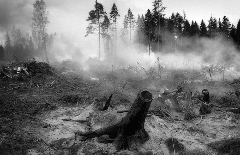 OneClarion's tweet image. After the wildfire is over, it leaves behind charred, barren earth. This makes properties vulnerable to massive erosion and landslides. See our solutions for erosion control after a wildfire.clarionmunicipal.com/wildfires.html 
#erosioncontrol #wildfire #afterfire