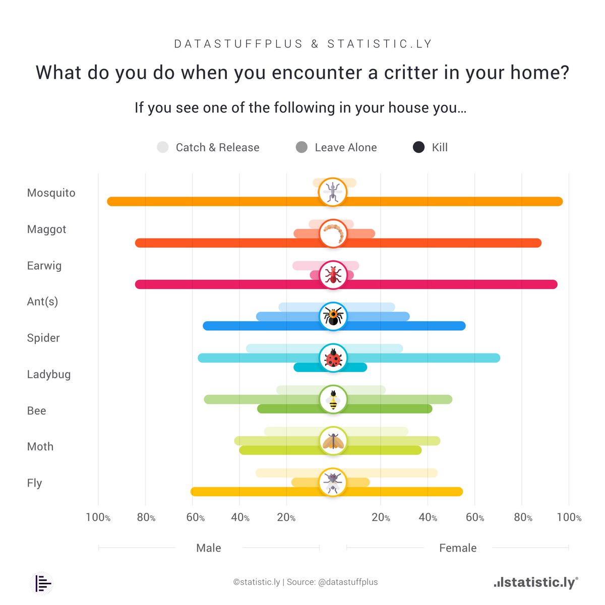 statisticly's tweet photo. What do you do when you encounter a spider in your house? Do you catch and release or deliver a swift and merciless death? How about a mosquito, or ants? 

We’ve teamed up with @datastuffplus to find out what people do when they come across various critters in their homes. https://t.co/k6qlPZhNKJ