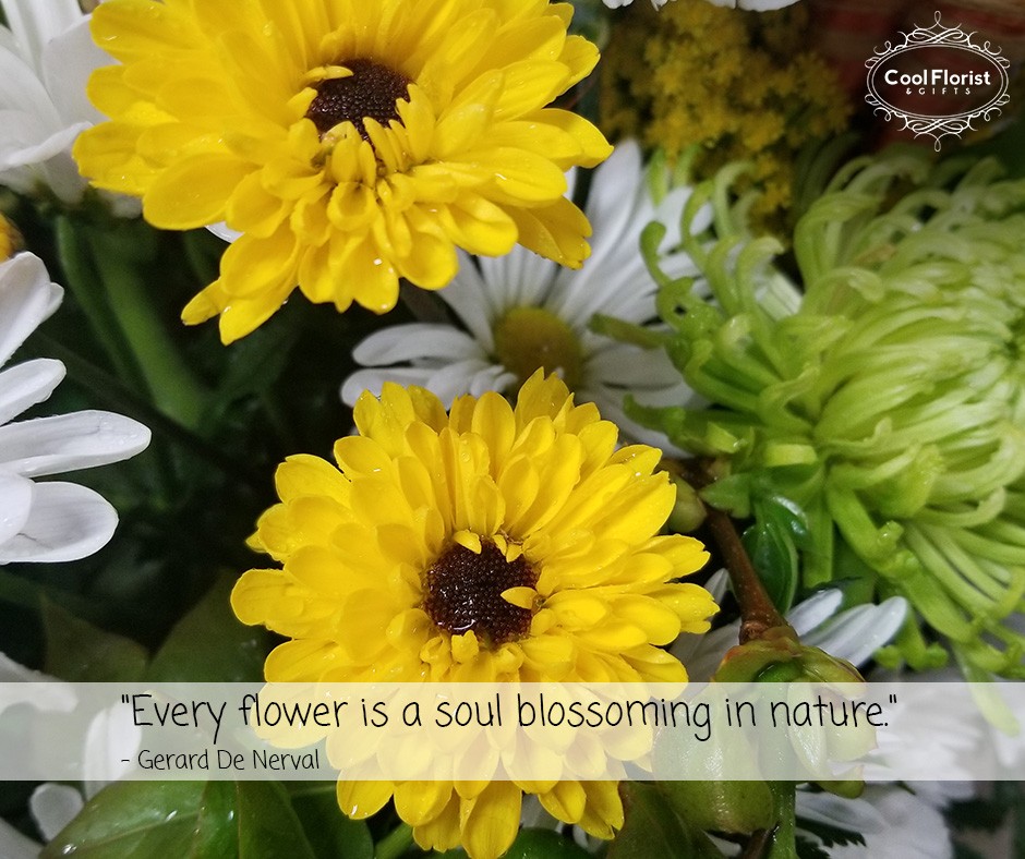 CoolFlorist's tweet photo. "Every flower is a soul blossoming in nature." - Gerard De Nerval

#CoolFlorist #Quote #Love #Flower https://t.co/pBGA586fg6
