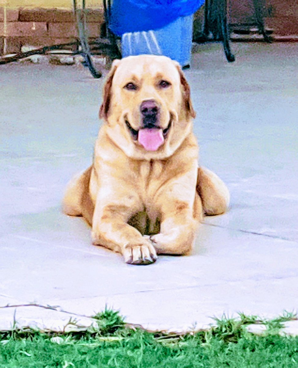 Milo, smile for the picture 😄