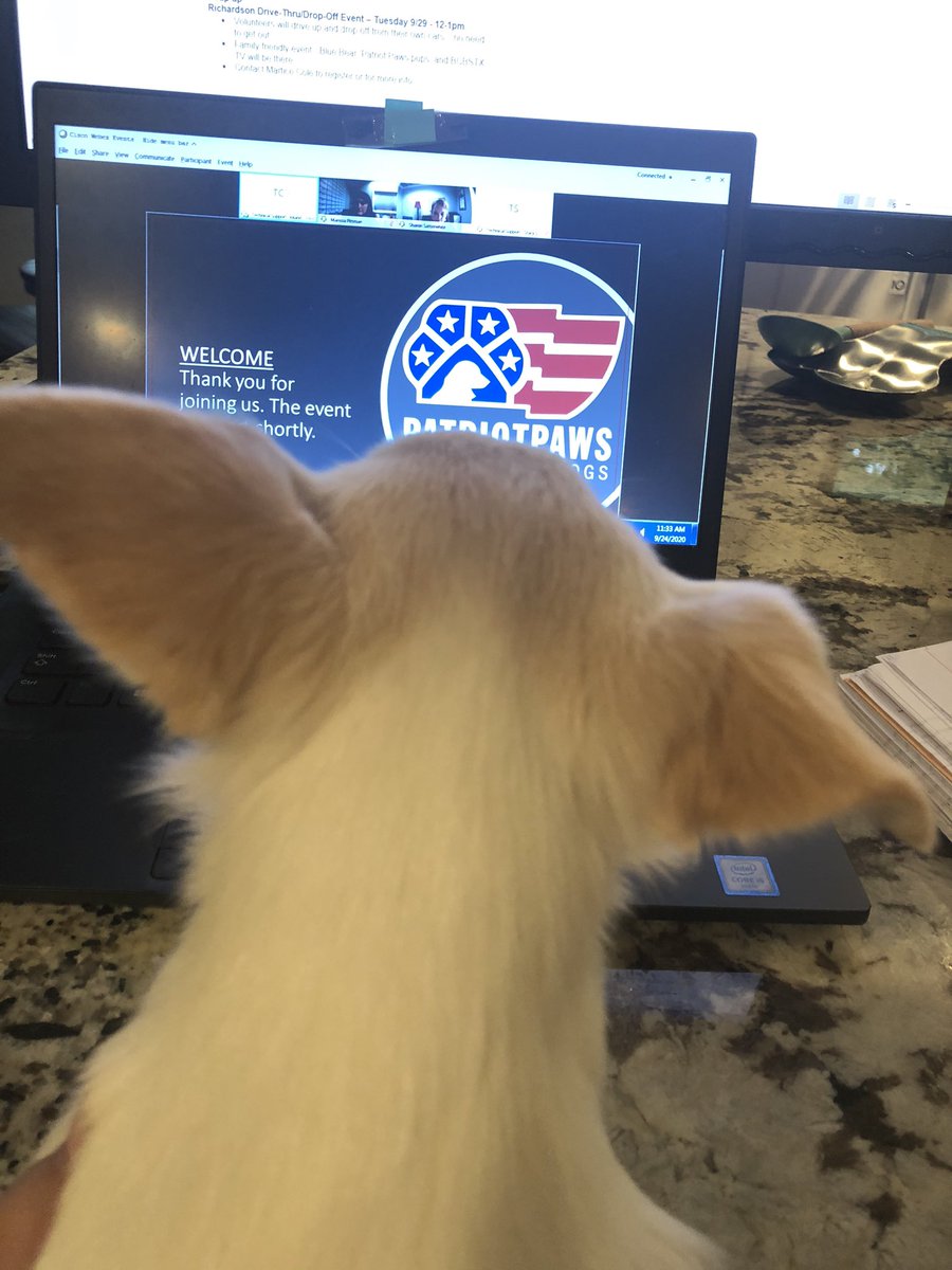 Shara McClure (@sbmcclure) on Twitter photo Thank you <a href="/PatriotPAWS/">Patriot PAWS</a> <a href="/PatriotPawsTAMU/">Patriot Paws of Aggieland</a> for raising, training & providing #servicedogs to disabled American vets. We enjoyed assembling food bags for your pups in training! A special shoutout to <a href="/BCBSTX/">BCBSTX</a> employees, families & furry friends who participated in this PAWEsome event! Thank you <a href="/PatriotPAWS/">Patriot PAWS</a> <a href="/PatriotPawsTAMU/">Patriot Paws of Aggieland</a> for raising, training & providing #servicedogs to disabled American vets. We enjoyed assembling food bags for your pups in training! A special shoutout to <a href="/BCBSTX/">BCBSTX</a> employees, families & furry friends who participated in this PAWEsome event!