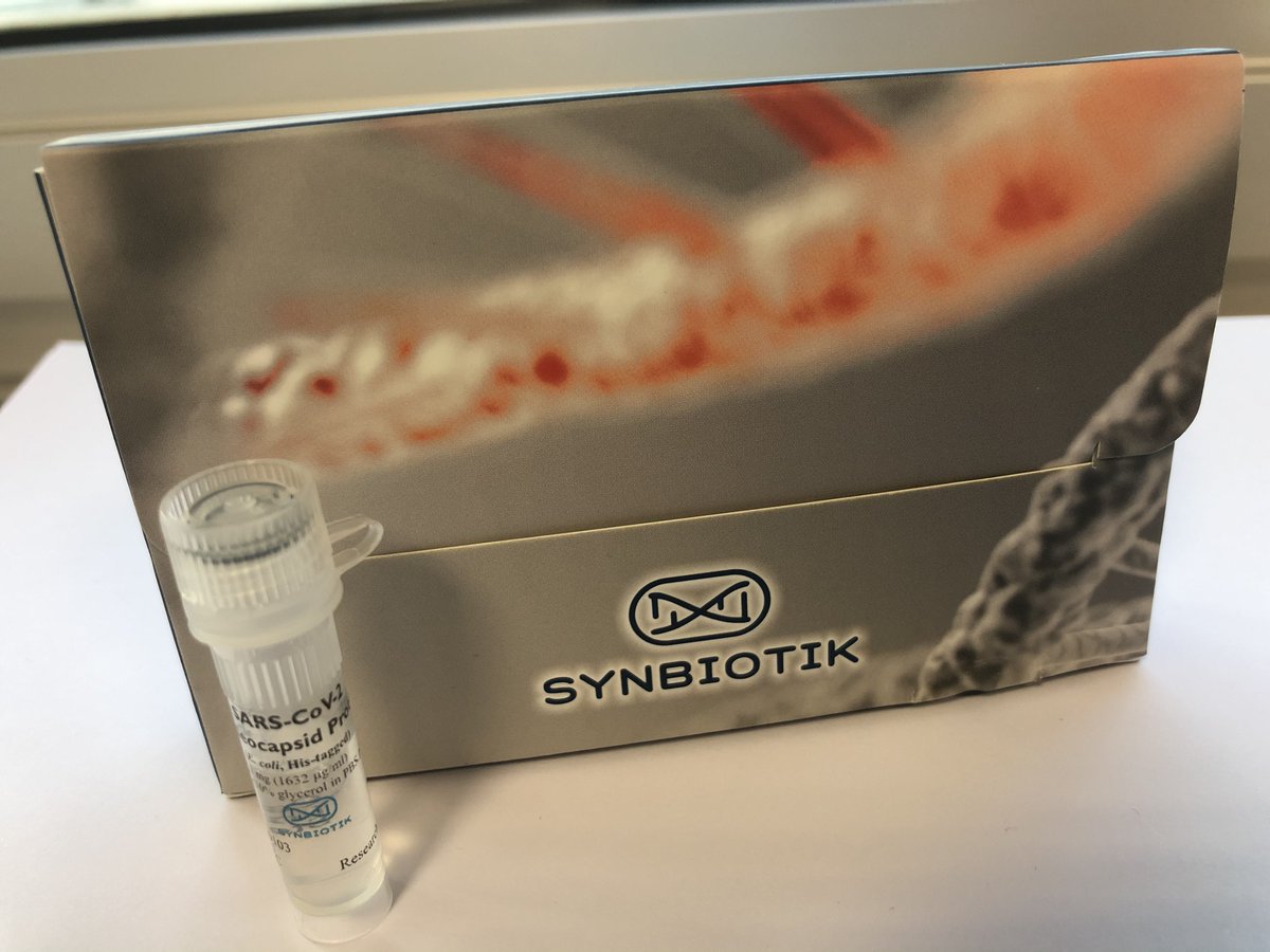 Sars-CoV-2'e ait, rekombinant Spike proteini, rekombinant S-RBD proteini, S1 proteini ve rekombinant Nucleokapsit proteinlerini tagli ya da tagsiz olarak katoloğumuzda bulabilirsiniz. Detaylı bilgi için : info@synbiotiktr.com #covidー19 #antibodies #antigens #recombinant #protein