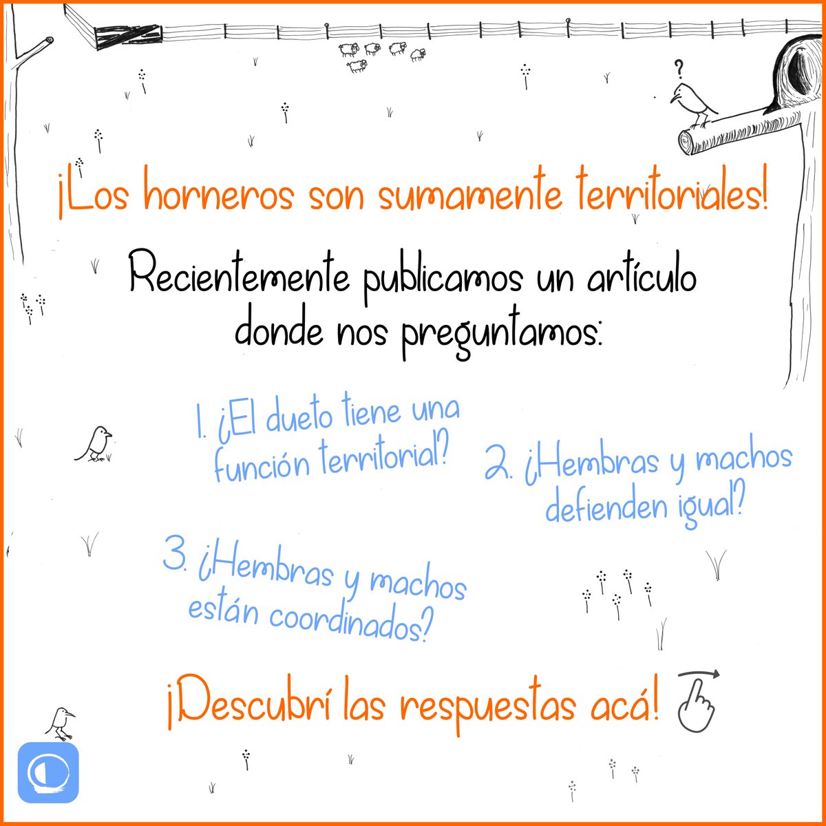 nidohorneros's tweet photo. #divulgaciencia 🤓🐥 Va un hilo con los resultados de nuestra última investigación sobre el comportamiento territorial en el #hornero
#joaodebarro
#tiluchi
#avesargentinas https://t.co/hzliv2hQ9e