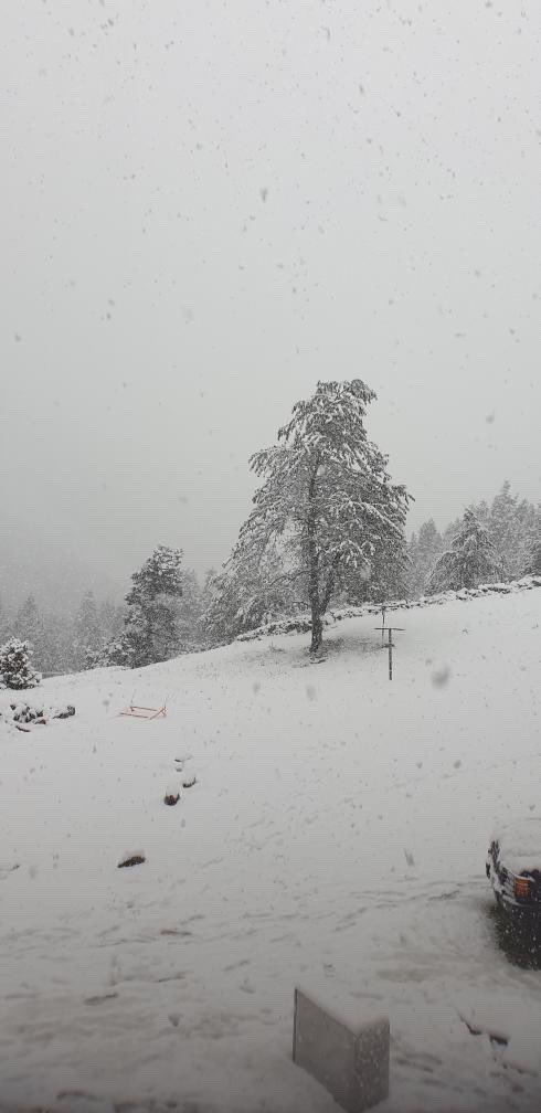 Météo Pyrénées tweet media