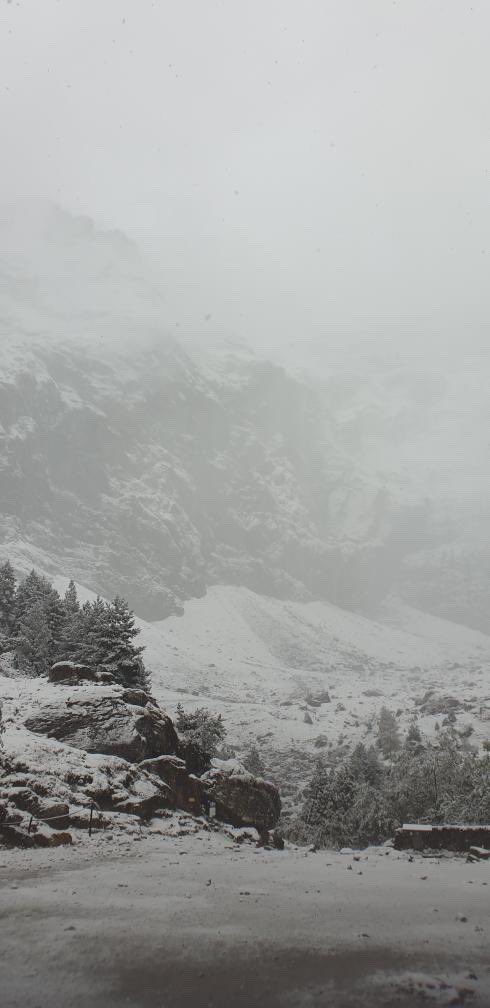 Météo Pyrénées tweet media