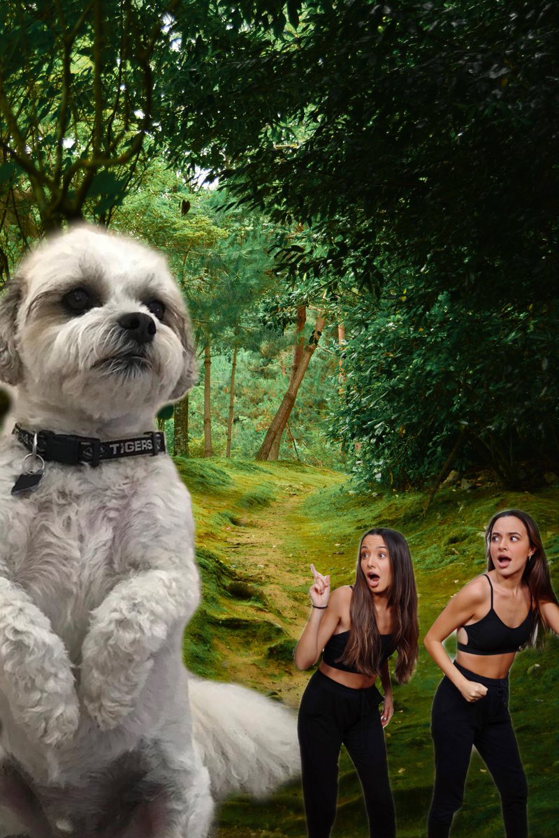 maqictapes's tweet photo. @MerrellTwins @veronicamerrell @VanessaMerrell Here’s mine😂 #mtphotoshop https://t.co/6kXBHYdQkB