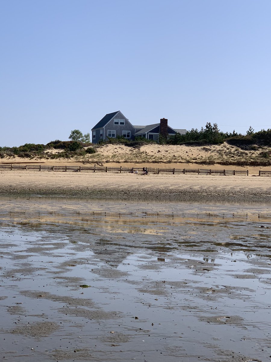 capeliad's tweet image. “When it's over, I want to say: all my life I was a bride married to amazement. I was the bridegroom, taking the world into my arms.” -Mary Oliver