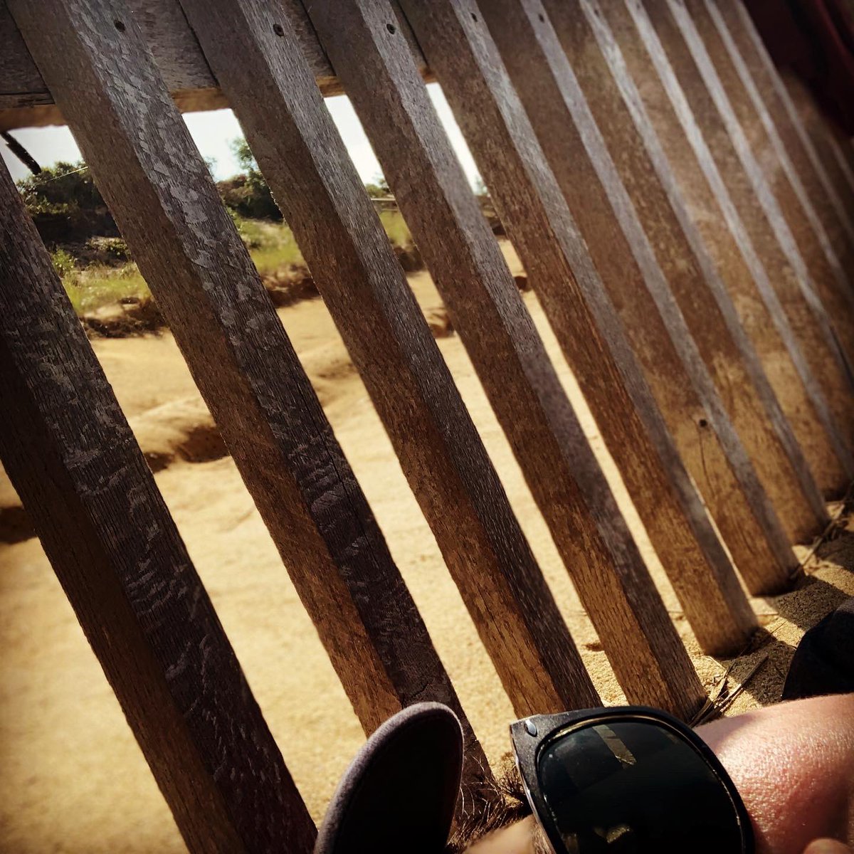 capeliad's tweet image. “When it's over, I want to say: all my life I was a bride married to amazement. I was the bridegroom, taking the world into my arms.” -Mary Oliver