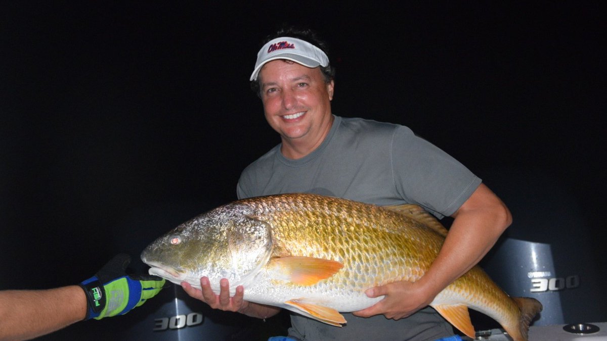 David Burkhardt tweet media