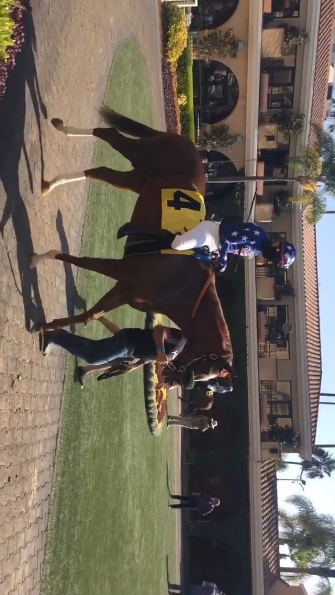 PHS_Baseball17's tweet photo. Its opening day at @santaanitapark and Willson bred She B Salty makes her second start and will be rocking the red white and blue in race 10 🇺🇸🇺🇸🇺🇸. https://t.co/BFwvRm0A0S
