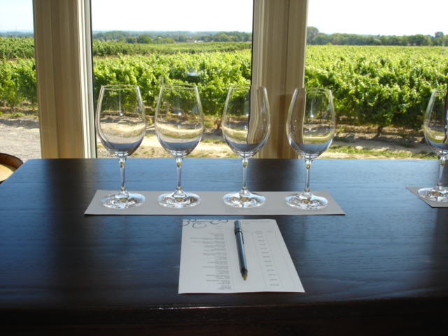 MagTours tweet media