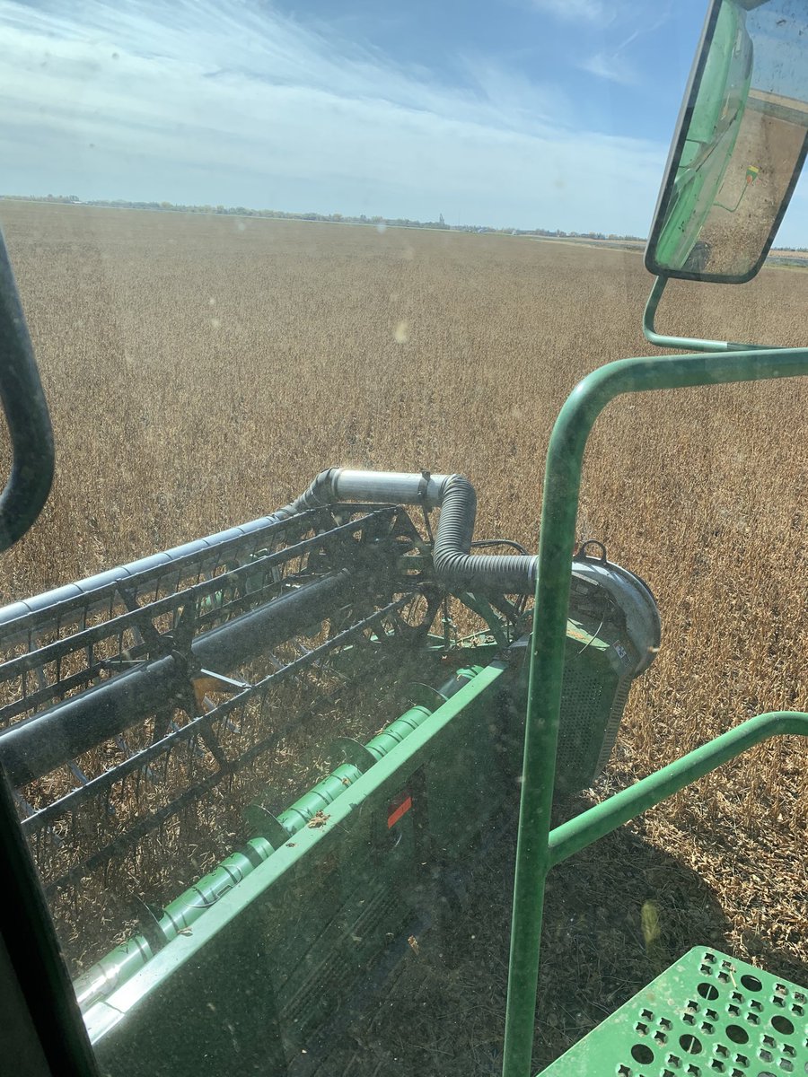 NeufeldCurt's tweet image. Beautiful day to finish off the beans !