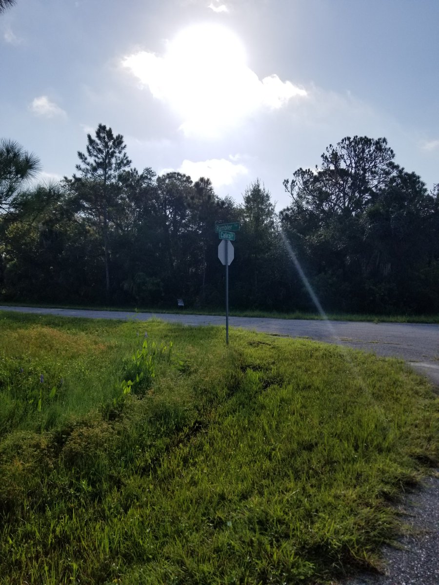 janicej1973's tweet photo. We did a quick 1.75 mi walk, run & dance through our neighborhood. I'm happy 2 see so many more ppl out & about. Not as many ppl going to gyms, so they are outside & I get to meet them! Have a lovely day everyone๐ฅฐ #run #dance #walk #FLrunning #fitness #grateful to be in nature๐ https://t.co/iyoKACuKUH