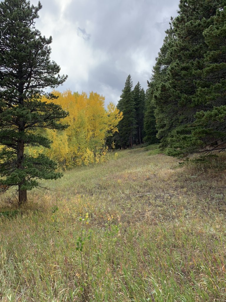 ColoradoSafe's tweet image. I want a #firesafecolorado so I can enjoy places such as the Caribou Ranch Open Space outside of Nederland. Thanks @BoulderCountyOS!!