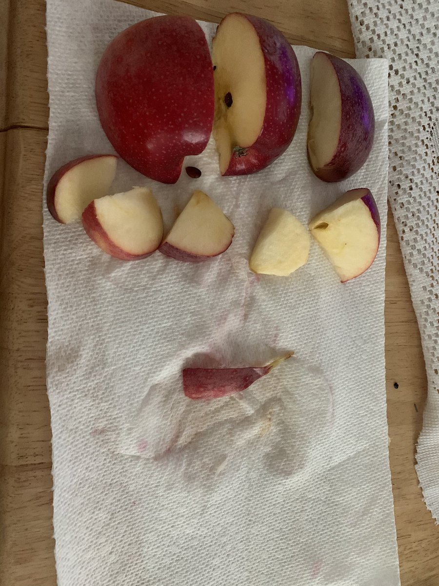 The apple is Earth. The sliced pieces represents things like oceans, uninhabitable land, land we live on/cannot grow food. The peel is the fixed amount of land we can grow food on. However, the population is growing while the land we grow our food on remains the same #etownpops