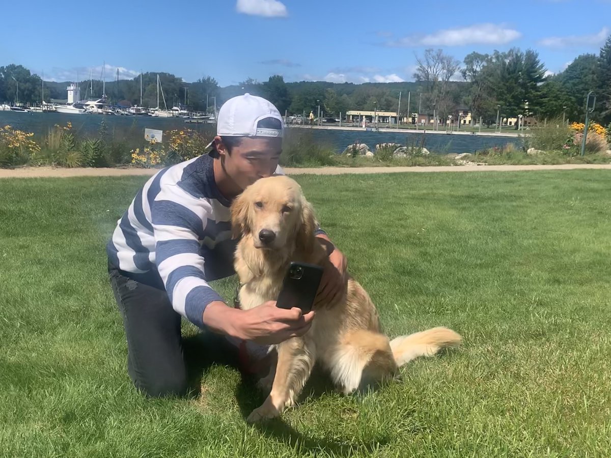 AMAZING 💚: Korean-American actor @danielhenney just became the proud pup parent of Juliette, a golden retriever we rescued from a South Korean dog meat farm! 🐾 Details 👉 bit.ly/307WTMm