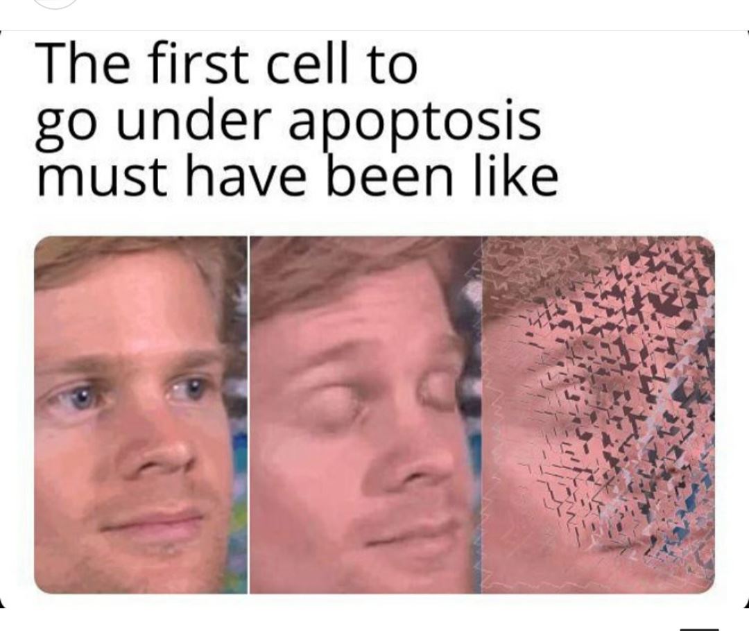 ScienceMemes6's tweet image. 