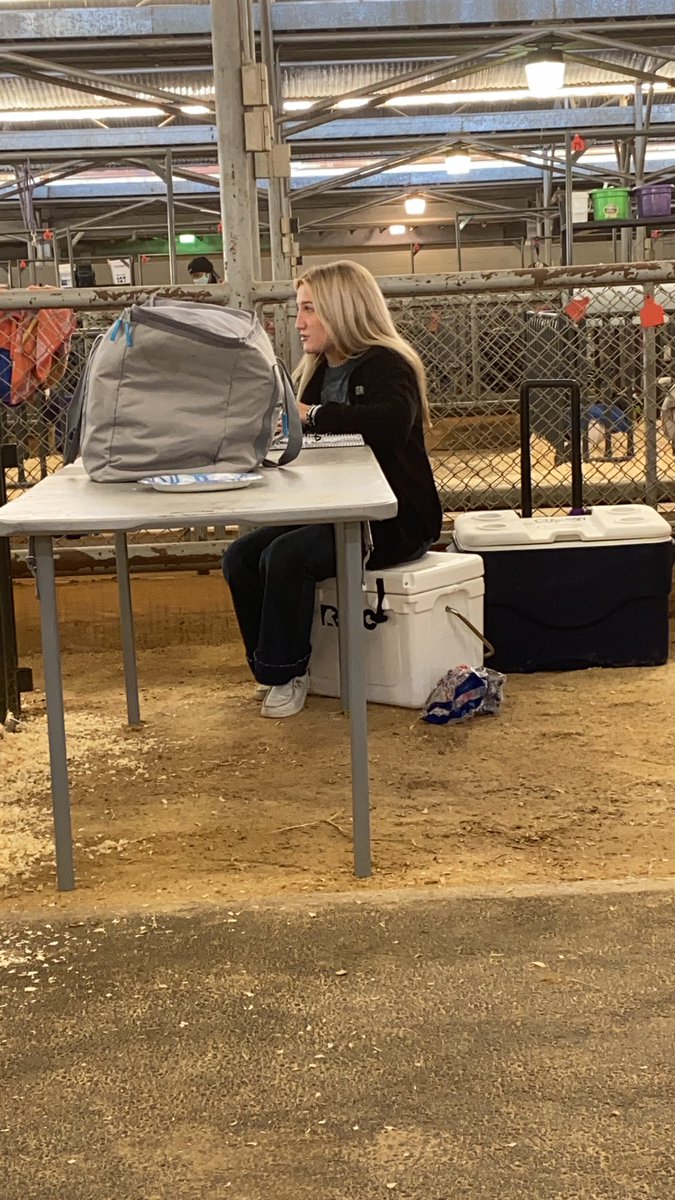 Even after an early morning getting unloaded at the State Fair Goat Show our FFA students still make sure to stay on top of their school work! We have some great students to work with! #roysecityhs #roysecityisd #roysecityffa #rcisdjoy