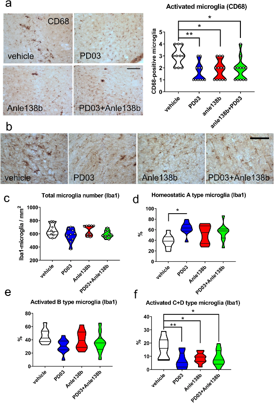 ScienceofPD's tweet photo. An analyze the therapeutic efficacy of @AFFiRiSAG's PD03 (a new AFFITOPE® immunotherapy approach) either alone or in combination with MODAG's Anle138b in a α-synucleinopathy PLP-α-syn mouse model
https://t.co/gR4OT8th7Y https://t.co/EsUQQv2UXa