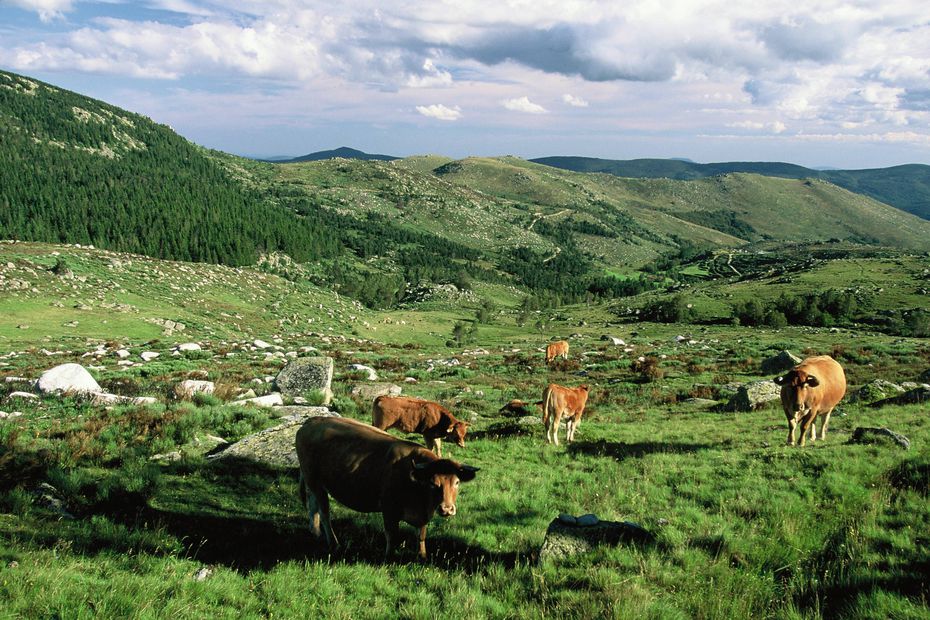 France 3 Occitanie tweet media