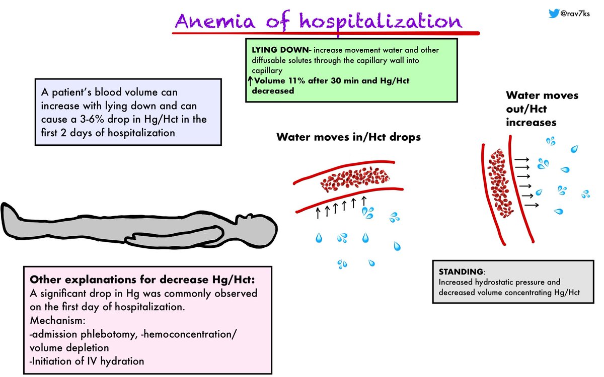 1/Why does the Hg/Hct drop in the first two days during hospitalization ?We'll explore this issue in this short  #medtweetorial #medtwitter  #FOAMed  #MedStudentTwitter