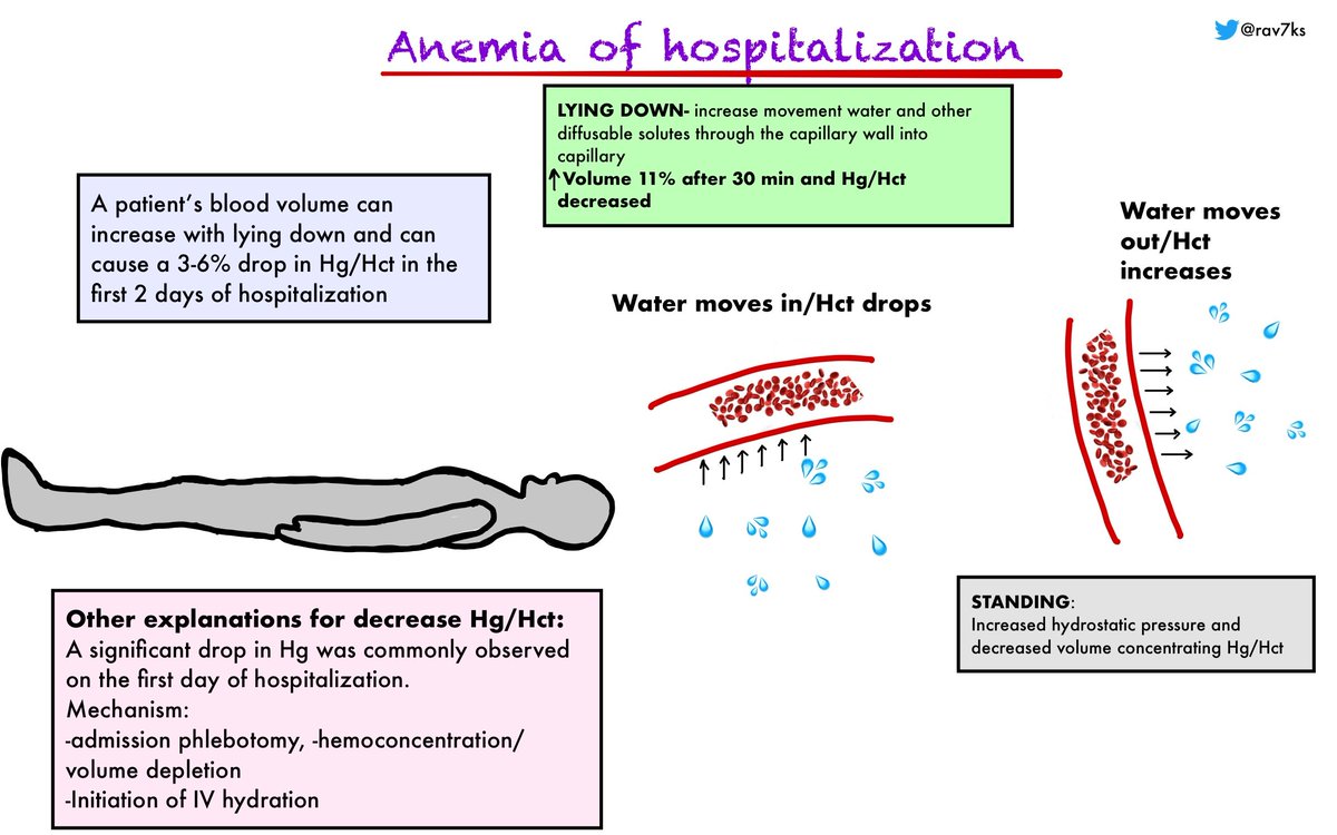 2/Interestingly , anemia of hospitalization is commonly thought to be due to - phlebotomy- IVF- invasive procedures/ bleeding etcHowever, prolonged bed rest can contribute to a drop in your pts blood count ! Another reason to get our patient's out of bed if possible !