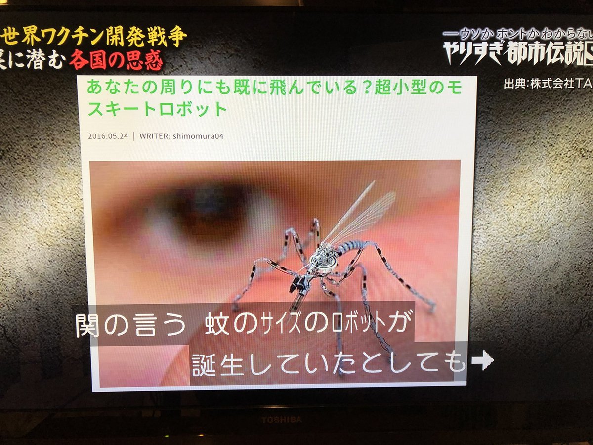 Aiko Wishforpeaceful Twitter